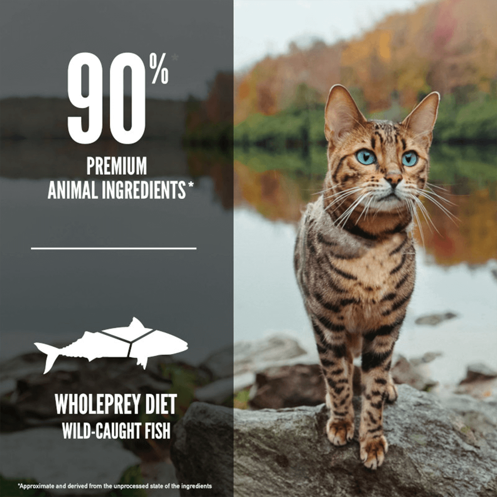 Origen Six Fish Dry Cat Food